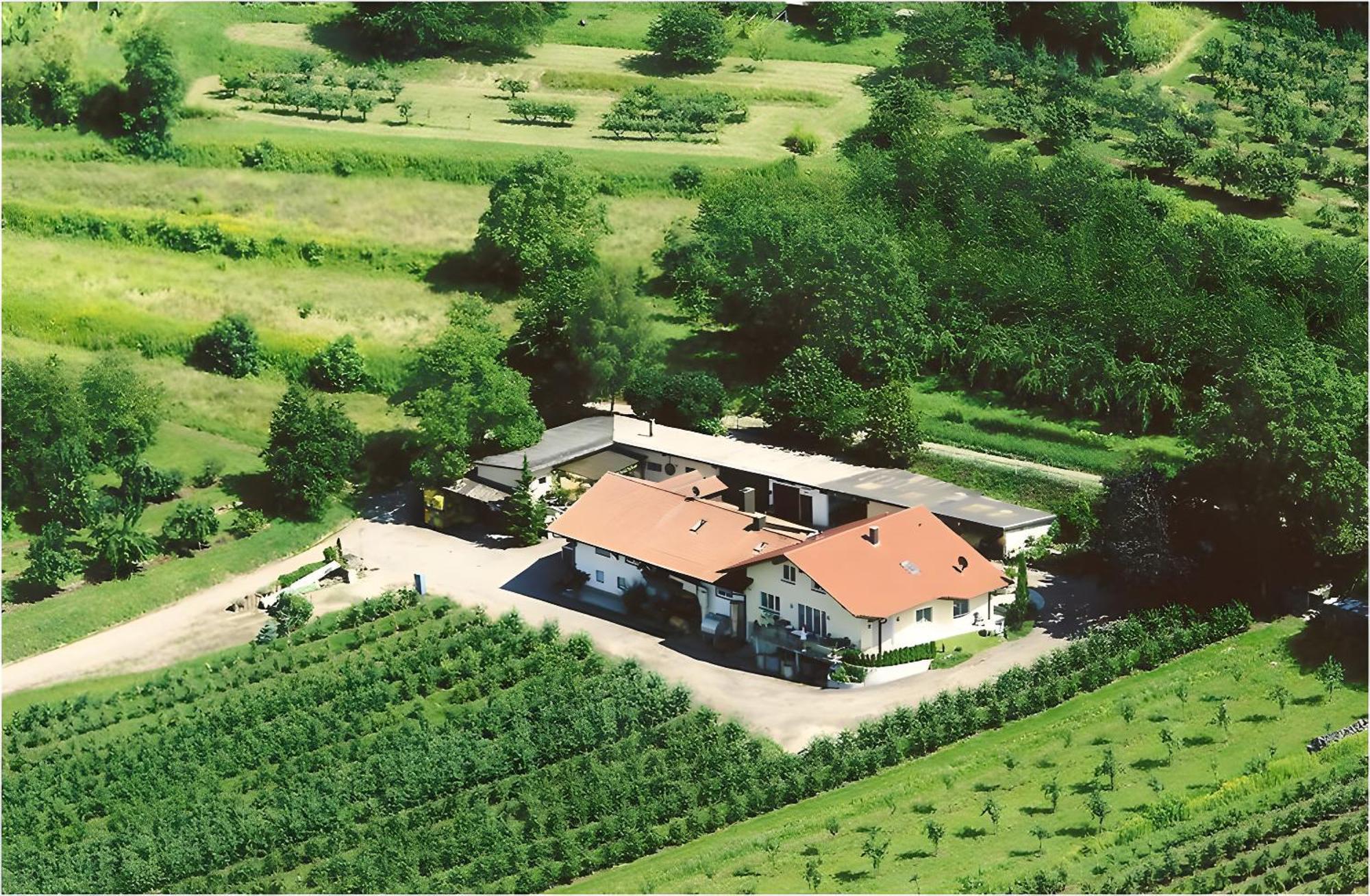 Weingut Ringwald Διαμέρισμα Herbolzheim Εξωτερικό φωτογραφία